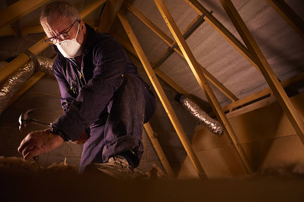 Best Insulation for New Construction  in New Paris, OH