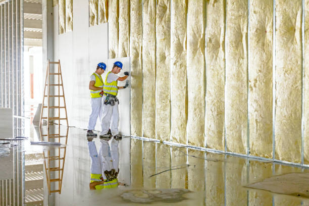 Insulation Replacement Services in New Paris, OH